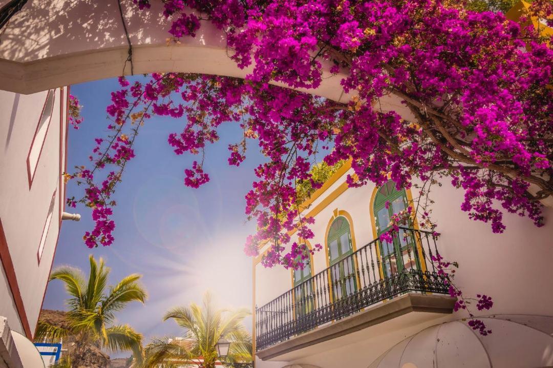 Apartamento 20 Metres From The Sea In Puerto De Mogan Exterior foto